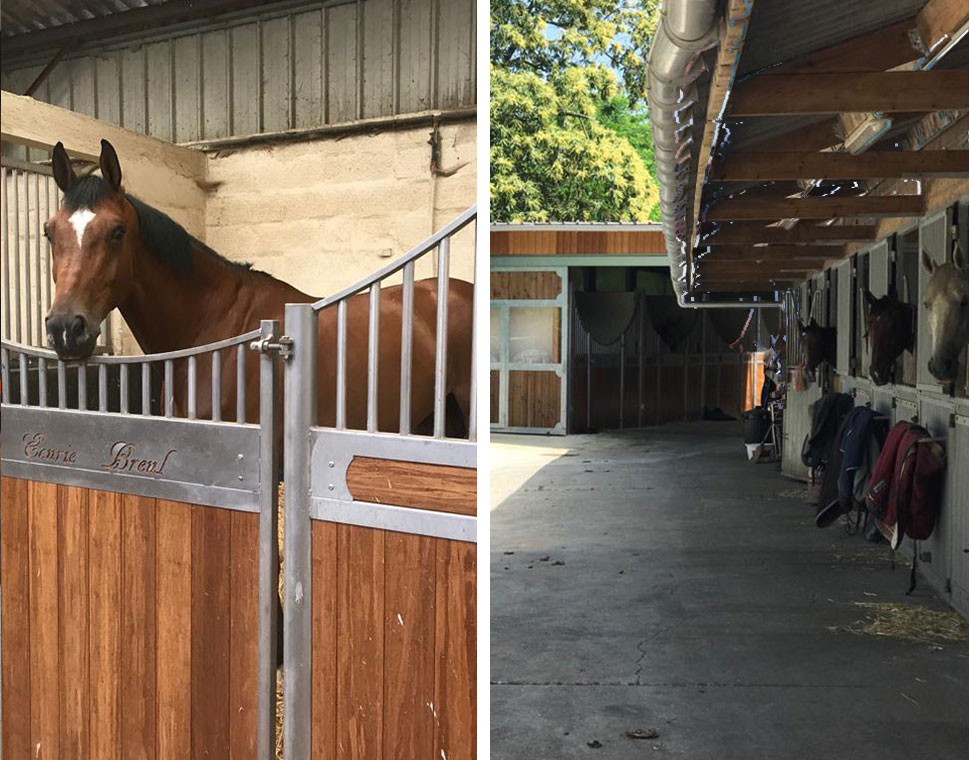 Pension pour chevaux Marcoussis, Pension pour chevaux Essonne, Pension pour chevaux 91