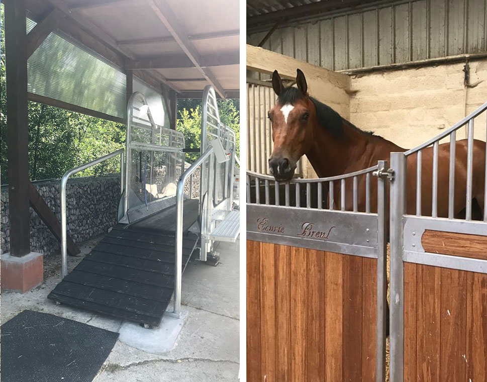 Pension pour chevaux Marcoussis, Pension pour chevaux Essonne, Pension pour chevaux 91